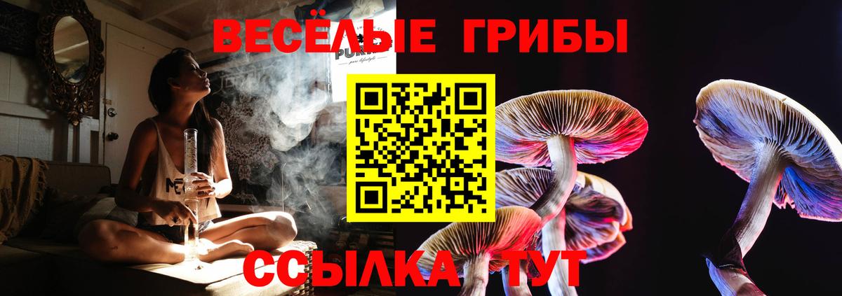 Белогорск  Псилоцибиновые грибы Cubensis  Вход с VPN 